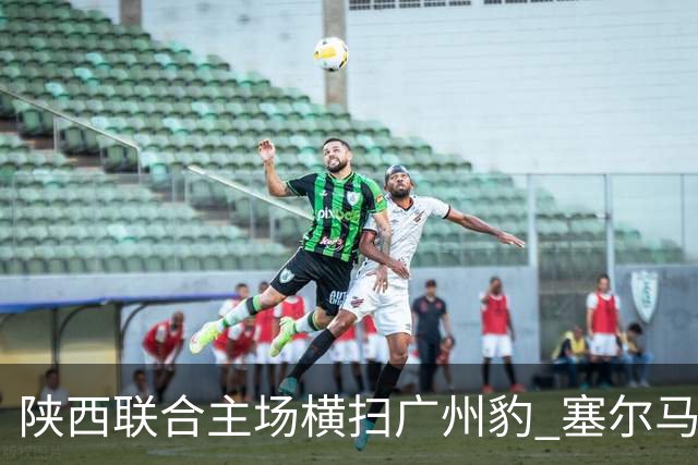 陕西联合主场横扫广州豹 塞尔马尼大放异彩